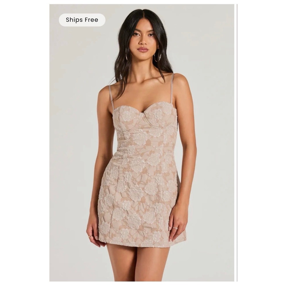 Windsor Gorgeous Charm Floral Jacquard Mini Dress large